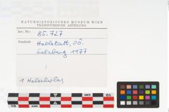 Foto von Keramikgefäß (NHMW-PRAE-085727)